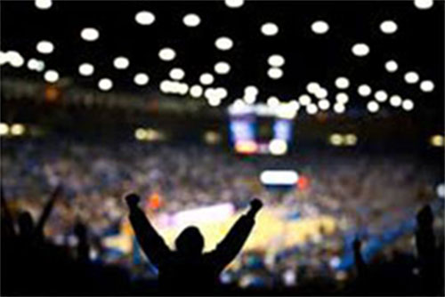 New fantasy sports concept - compatriots